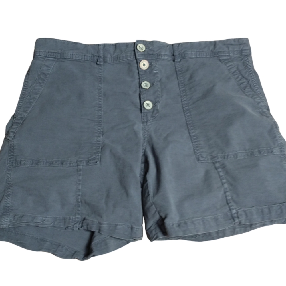 Anthropologie Gray Cotton Hiking Shorts Size 34